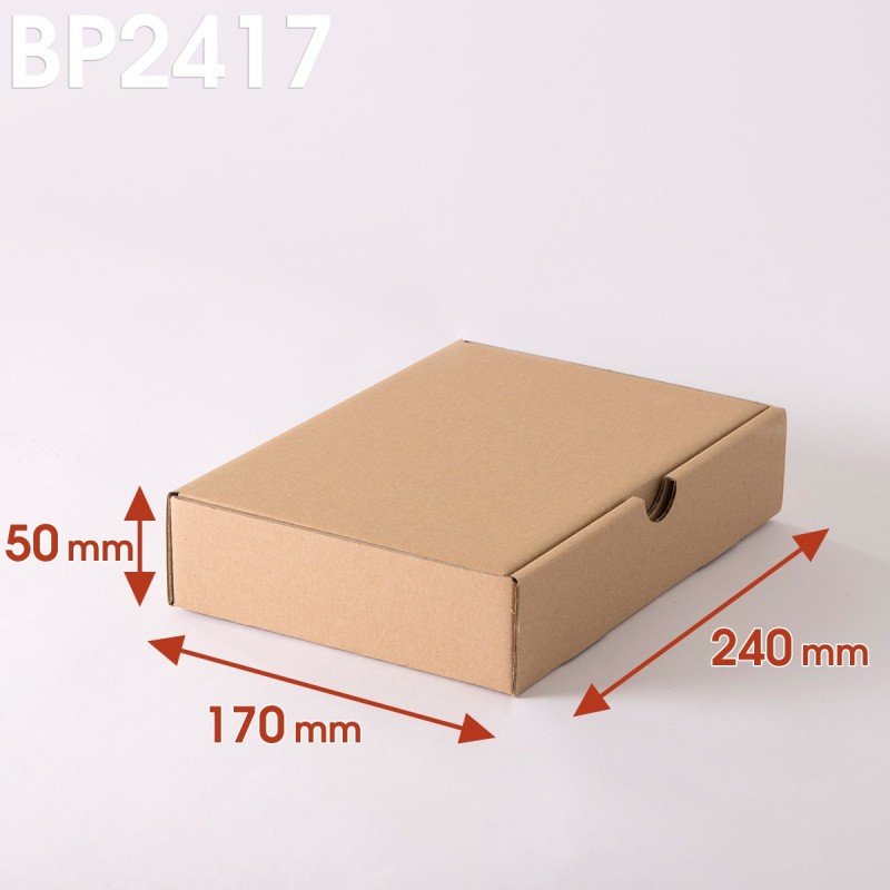 Boîte postale brune 240x170x50 mm 
