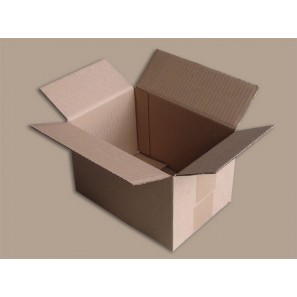 Boîte carton (N°16) format 220x150x140 mm 