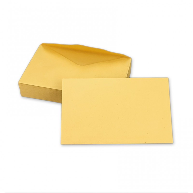 Assortiment de 1000 enveloppes élection recyclées 90x140 75 g/m²